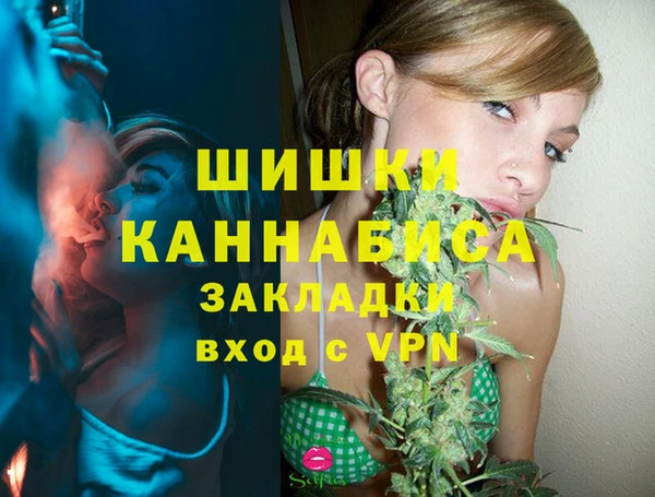 spice Белокуриха