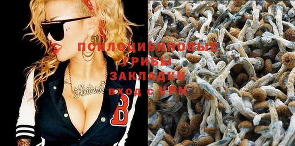 spice Белокуриха