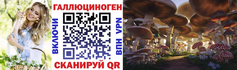 Галлюциногенные грибы мухоморы  где можно купить наркотик  Павловск 